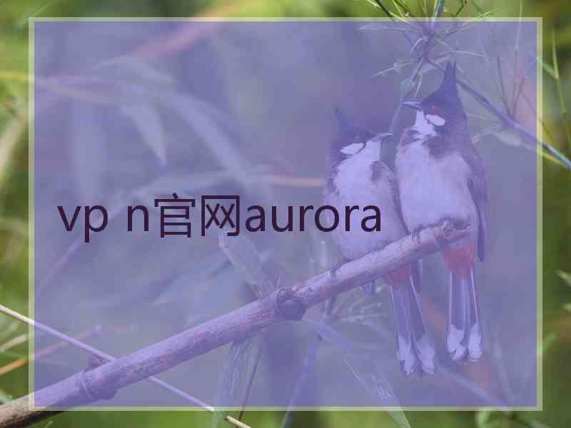 vp n官网aurora