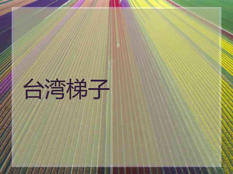 台湾梯子