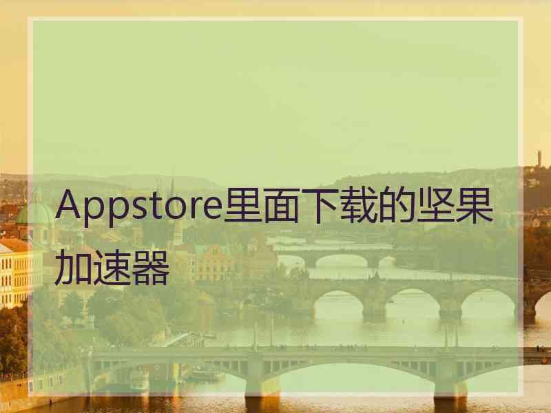 Appstore里面下载的坚果加速器