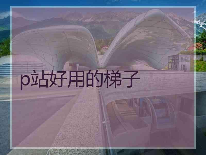 p站好用的梯子