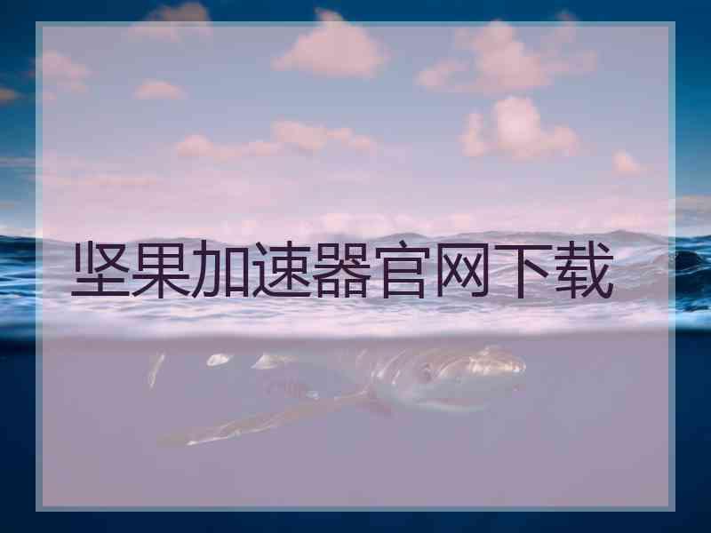 坚果加速器官网下载