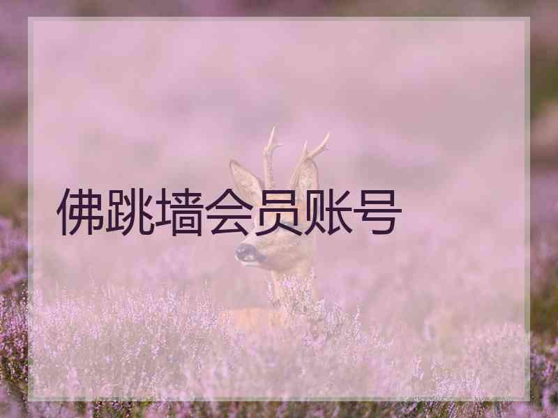 佛跳墙会员账号