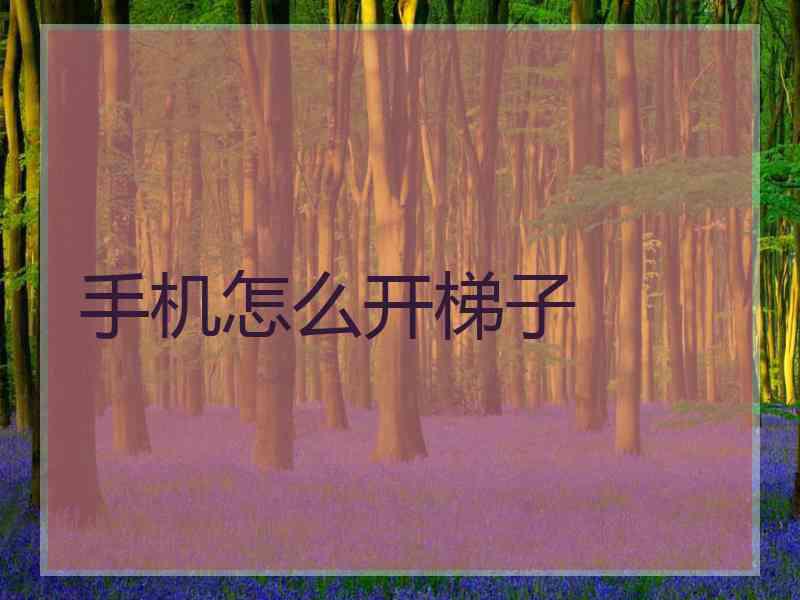 手机怎么开梯子