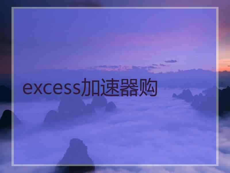 excess加速器购