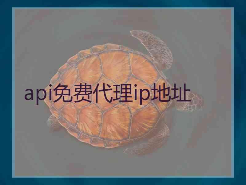 api免费代理ip地址