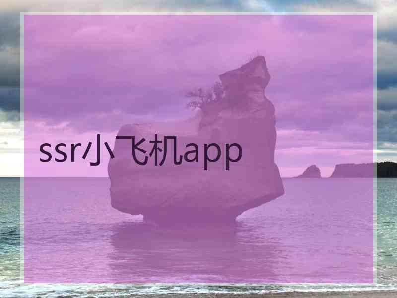ssr小飞机app