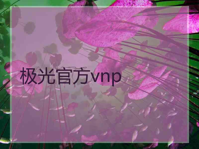 极光官方vnp