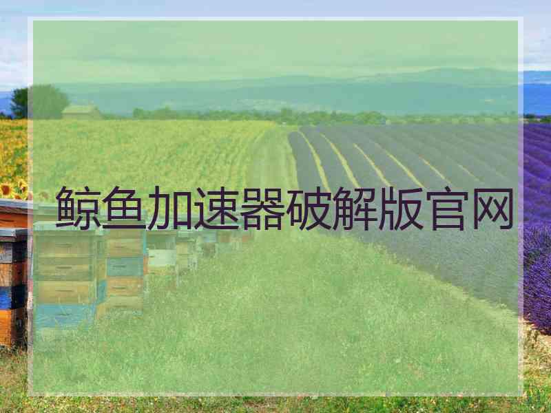 鲸鱼加速器破解版官网