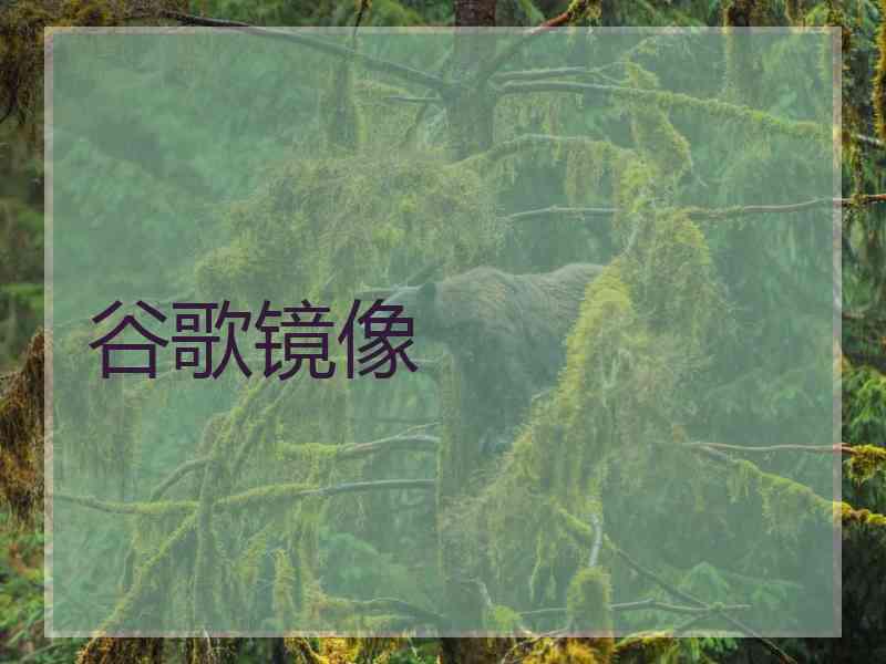 谷歌镜像