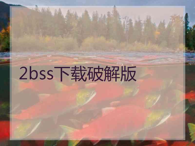 2bss下载破解版