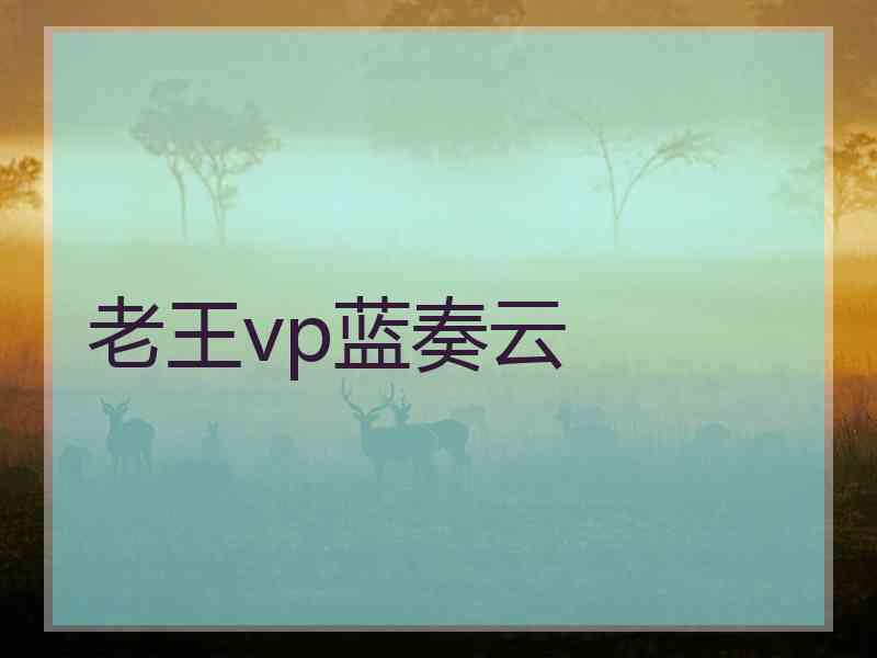 老王vp蓝奏云