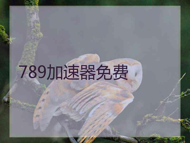 789加速器免费