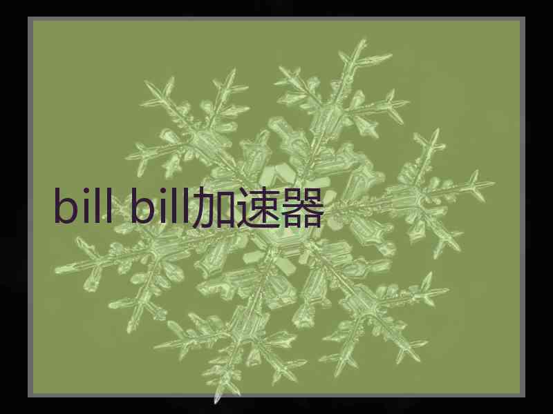 bill bill加速器