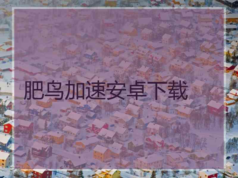 肥鸟加速安卓下载