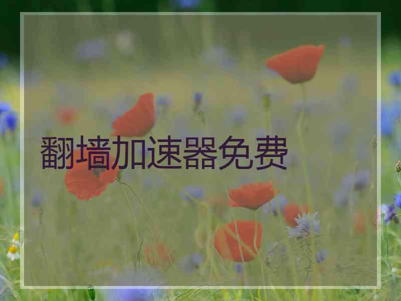 翻墙加速器免费