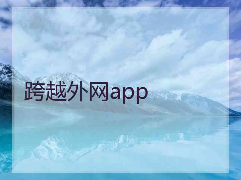 跨越外网app