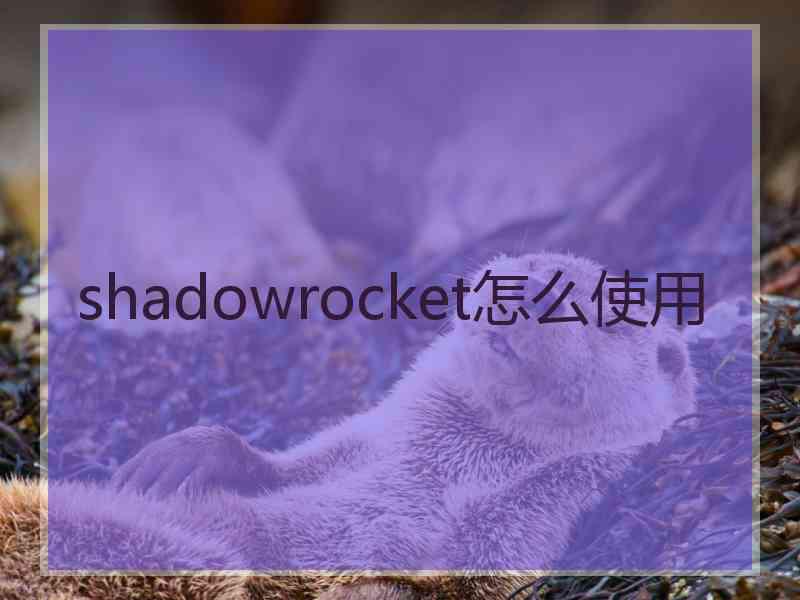 shadowrocket怎么使用