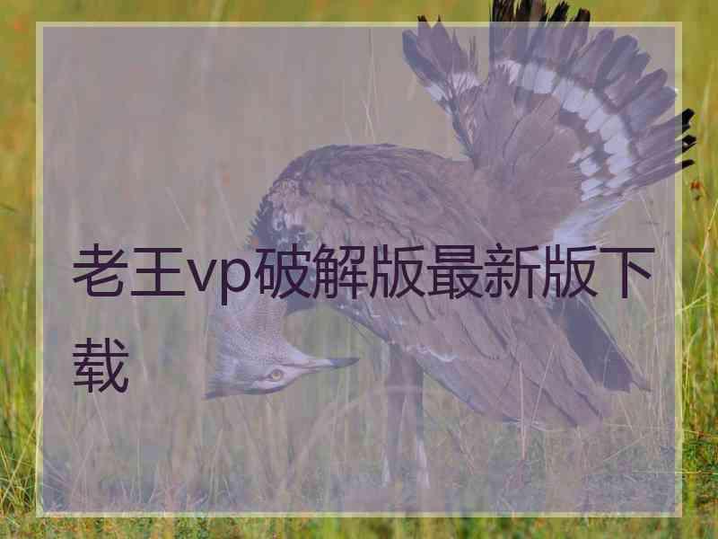 老王vp破解版最新版下载