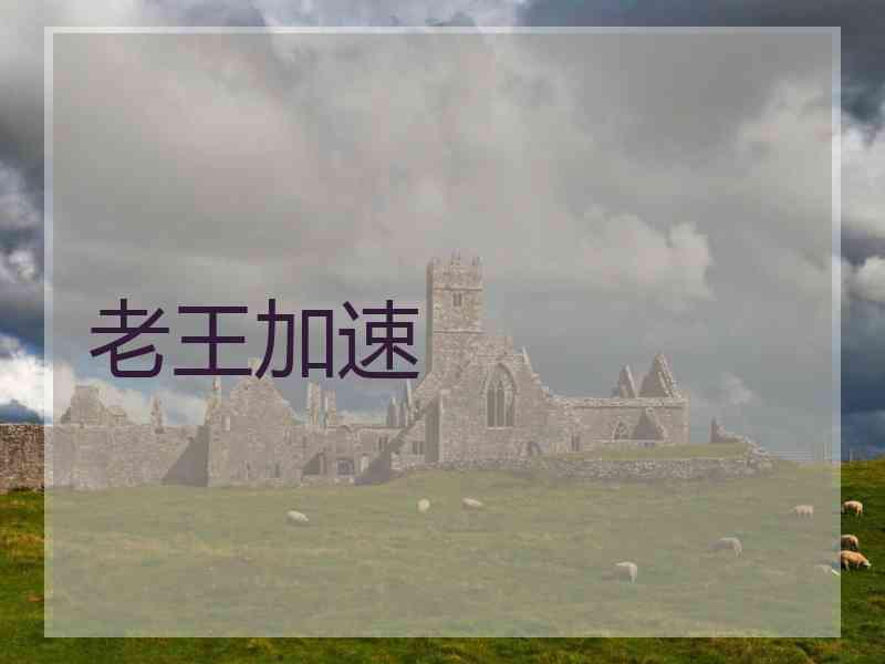 老王加速