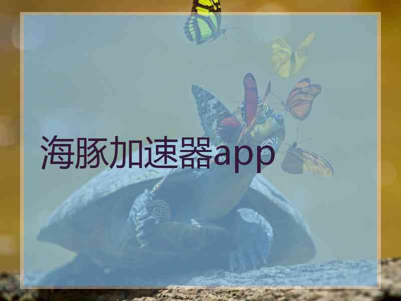 海豚加速器app