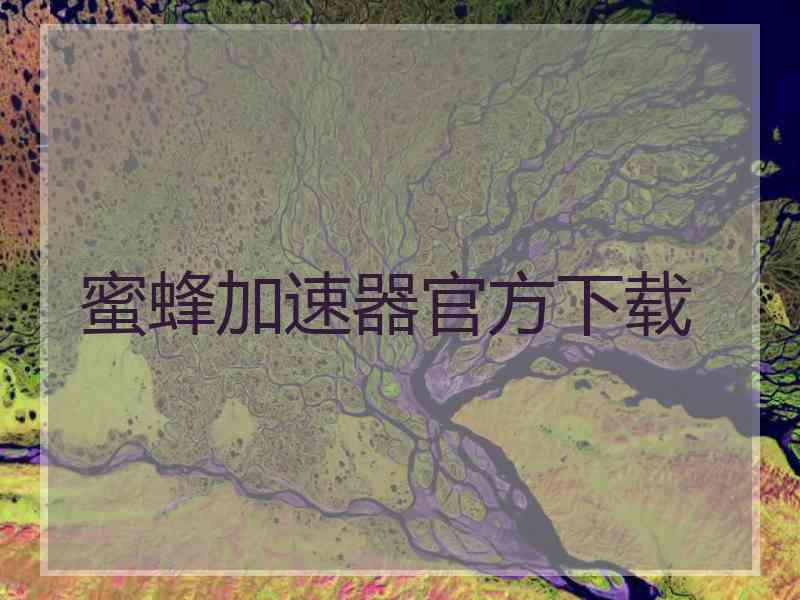 蜜蜂加速器官方下载