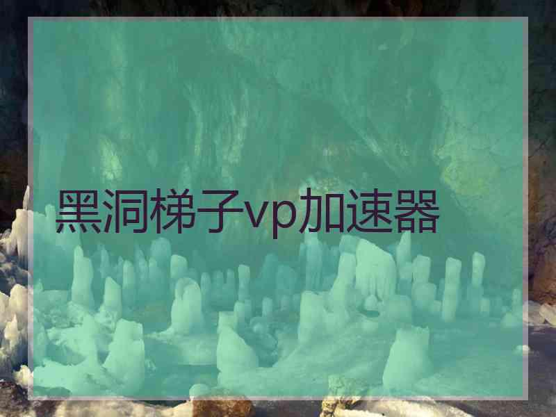 黑洞梯子vp加速器