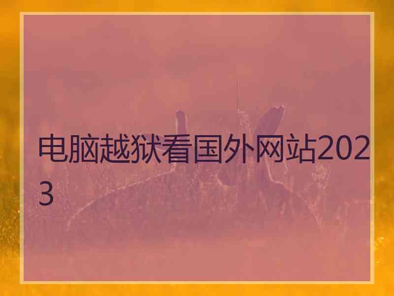 电脑越狱看国外网站2023