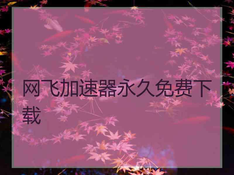 网飞加速器永久免费下载