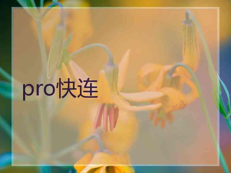 pro快连