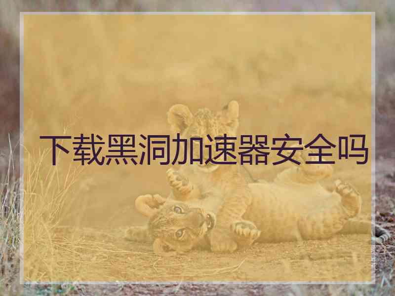 下载黑洞加速器安全吗