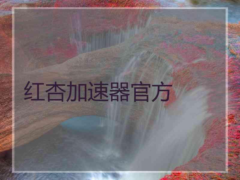 红杏加速器官方