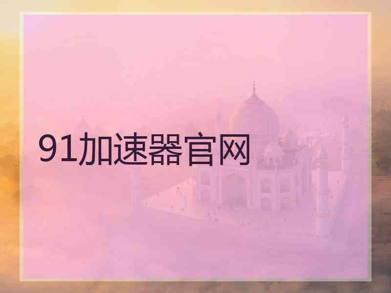 91加速器官网