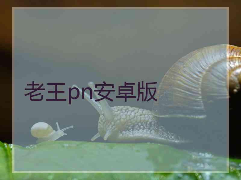 老王pn安卓版