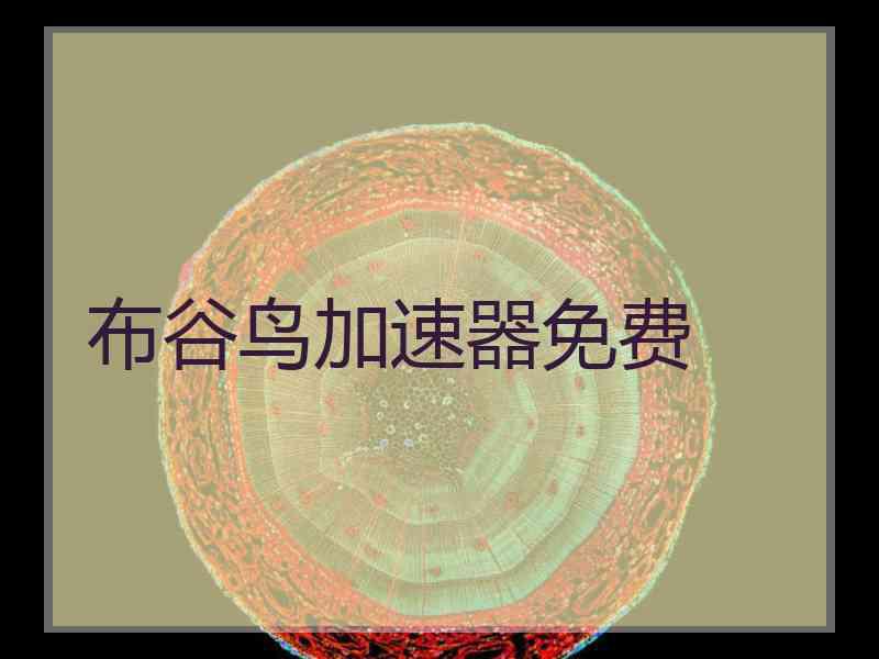 布谷鸟加速器免费