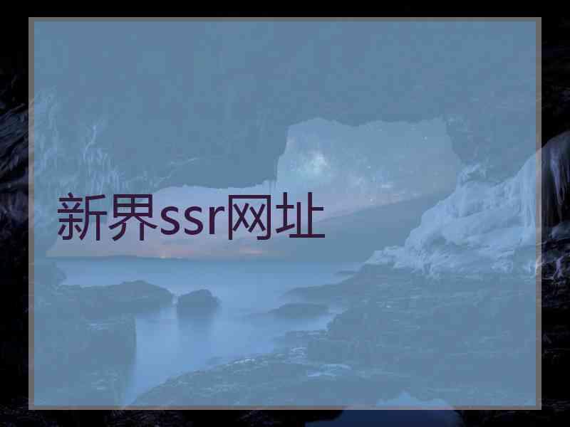 新界ssr网址
