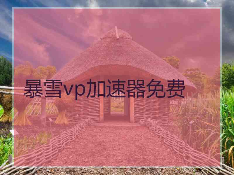 暴雪vp加速器免费