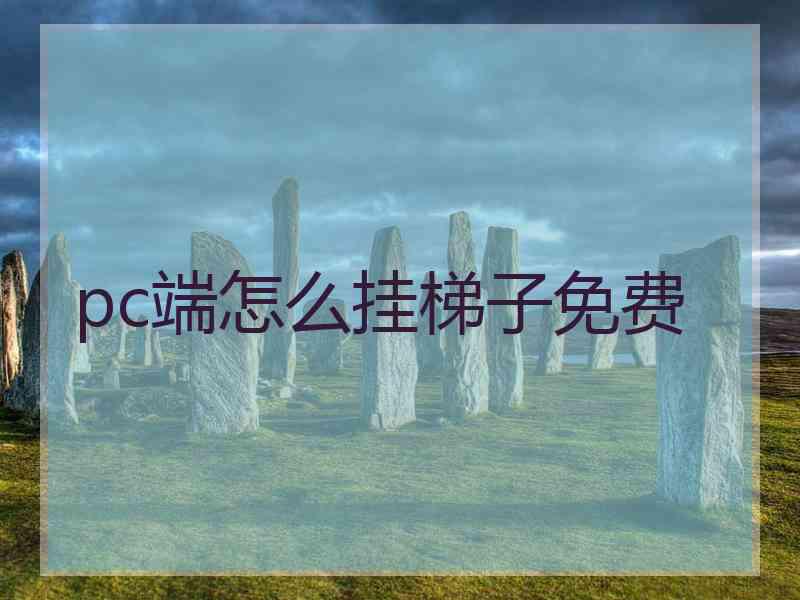 pc端怎么挂梯子免费