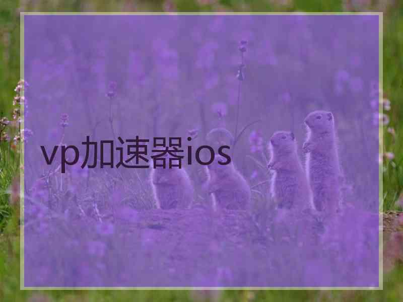 vp加速器ios