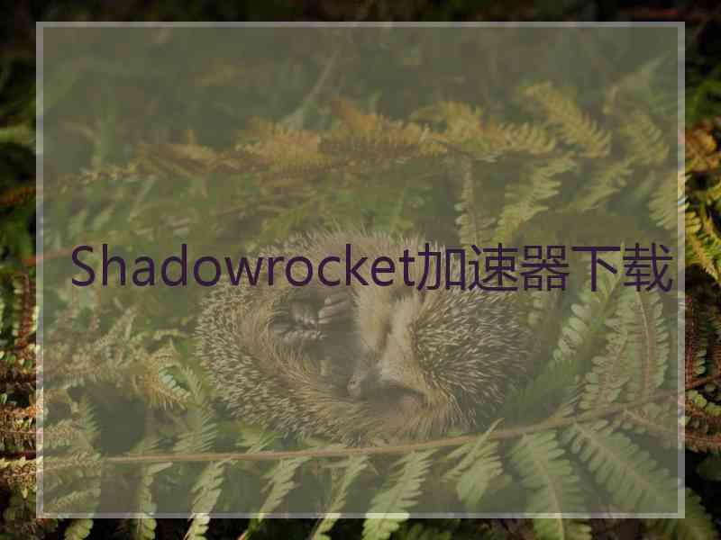 Shadowrocket加速器下载