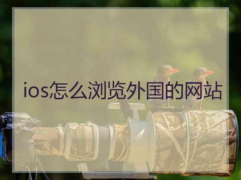 ios怎么浏览外国的网站