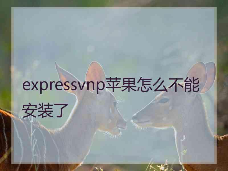 expressvnp苹果怎么不能安装了