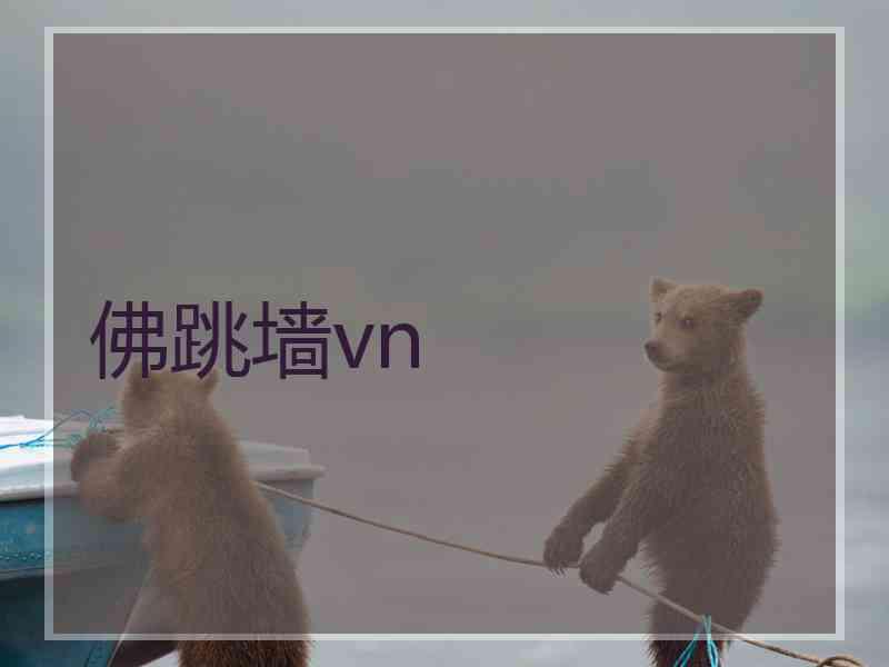 佛跳墙vn