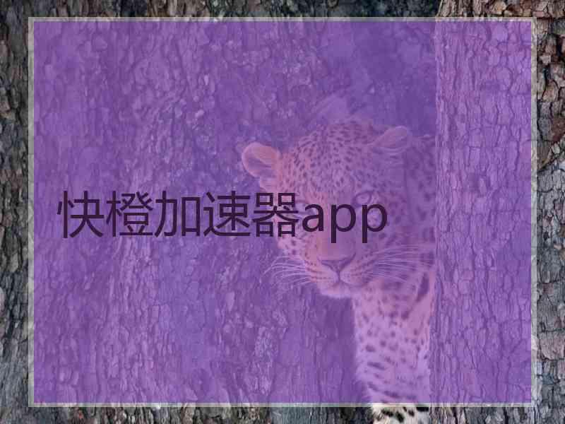快橙加速器app