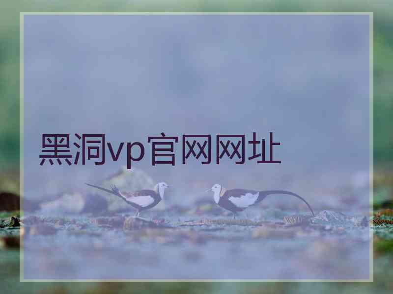 黑洞vp官网网址