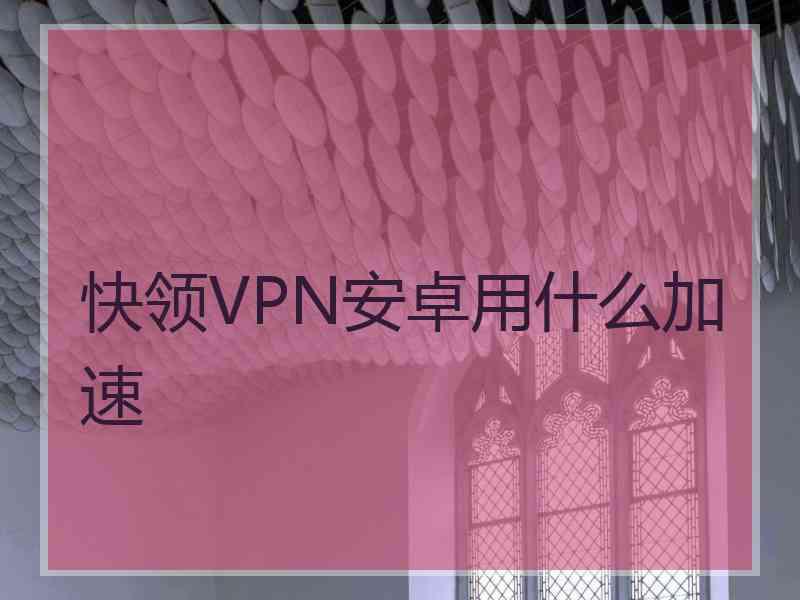 快领VPN安卓用什么加速