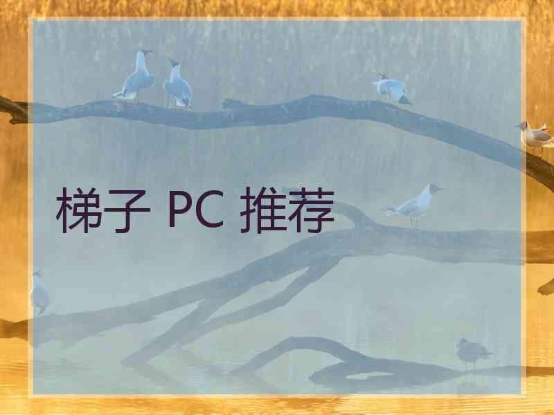 梯子 PC 推荐