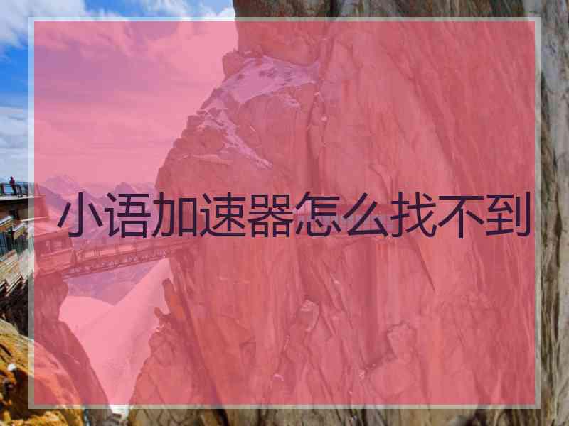 小语加速器怎么找不到