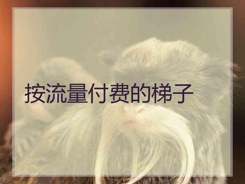 按流量付费的梯子