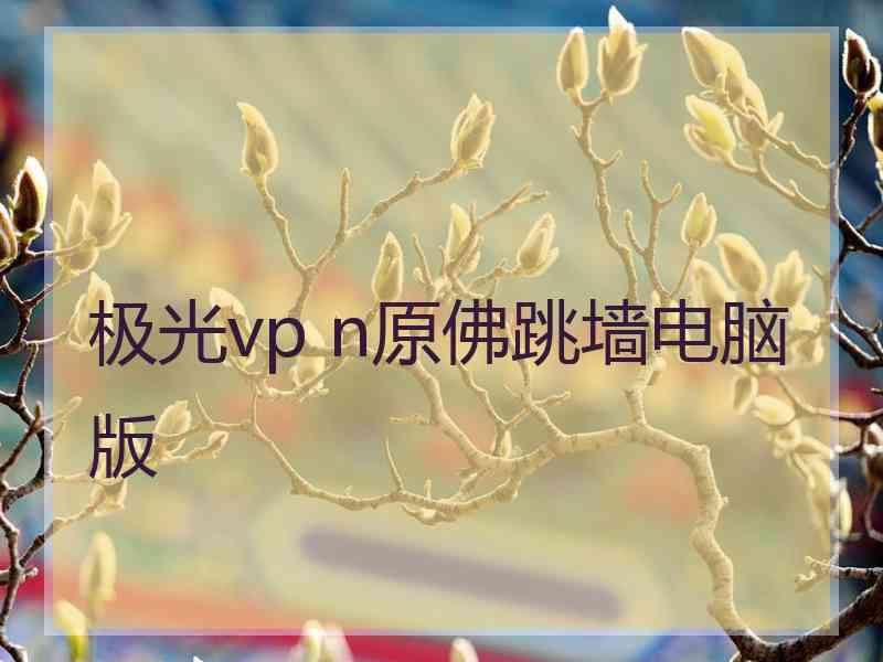 极光vp n原佛跳墙电脑版