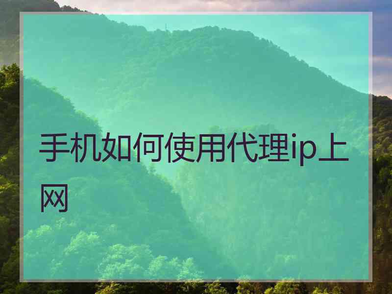 手机如何使用代理ip上网